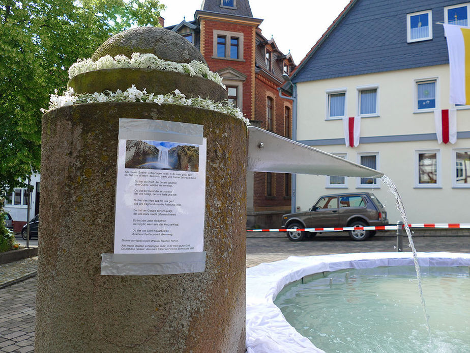 Bluemteppich auf dem Naumburegr Marktplatz (Foto: Karl-Franz Thiede)